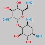 Tobramycin EP Impurity C CAS#: 3947-65-7