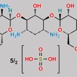 Tobramycin Hemipentasulfate CAS#: 49842-07-1