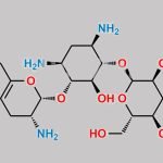 Tobramycin Impurity 1 CAS#: N/A