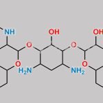Tobramycin Impurity 3 CAS#: 64332-33-8