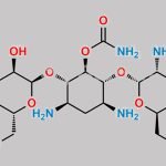 Tobramycin Impurity 5 CAS#: N/A
