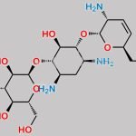 Tobramycin Impurity 6 CAS#: 63770-47-8