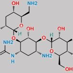 Tobramycin Impurity F CAS#: N/A