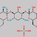 Tobramycin Sulfate CAS#: 126777-32-0