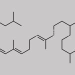Tocopheryl acetate EP Impurity E CAS#: N/A