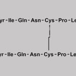 Toluenesulfonyl- Oxytocin and Oxytocin Dimer CAS#: N/A