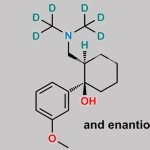 Tramadol-D6 CAS#: 284025-75-8