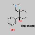 Tramadol EP Impurity D CAS#: 73986-53-5