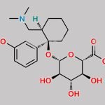 Tramadol-O-Glucuronide CAS#: N/A