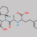 Trandolapril EP Impurity E CAS#: 87679-71-8