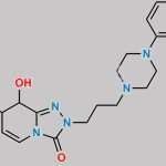 Trazodone Impurity 5 CAS#: N/A