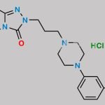 Trazodone EP Impurity D (HCl) CAS#: 1263278-80-3