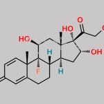 Triamcinolone Acetonide EP Impurity A CAS#: 124-94-7