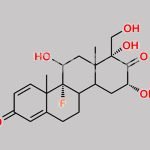 Triamcinolone Impurity 2 CAS#: N/A