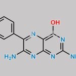 Triamterene EP Impurity B CAS#: 19375-89-4