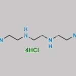 Trientine Tetrahydrochloride CAS#: 4961-40-4