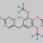 Trimethoprim D9 CAS#: 1189460-62-5