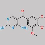 Trimethoprim EP Impurity B CAS#: 30806-86-1