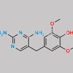 Trimethoprim Impurity 7 CAS#: 21253-58-7