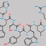 Triptorelin USP Related Compound A CAS#: 102992-39-2
