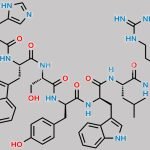 Triptorelin USP Related Compound B CAS#: 321709-35-7
