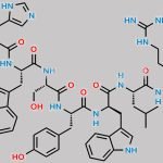 Triptorelin USP Related Compound C CAS#: 129418-54-8