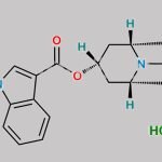 Tropisetron Hydrochloride CAS#: 105826-92-4