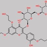 Troxerutin Impurity 7 CAS#: 13374-50-0