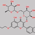 Troxerutin Impurity 9 CAS#: 23869-24-1