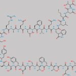 Trp 25(O) Glucagon CAS#: N/A