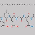 Trp(4-Hydroxybenzyl)25-Liraglutide CAS#: N/A