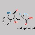 Tryptophan EP Impurity B CAS#: 184955-21-3