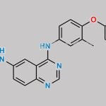 Tucatinib CAS#: 937263-43-9