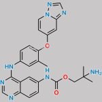 Tucatinib Impurity 18 CAS#: N/A