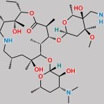 Tulathromycin Impurity 2 CAS#: N/A