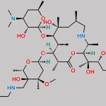 Tulathromycin Impurity B CAS#: 280755-12-6