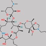 Tulathromycin Impurity C CAS#: 352032-81-6