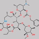 Tulathromycin TA-1 Impurity CAS#: 352032-78-1