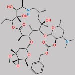 Tulathromycin TA-3 Impurity CAS#: 217649-77-9