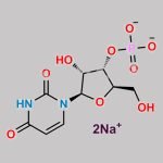 Uridine 3’-Monophosphate Disodium Salt CAS#: 35170-03-7