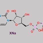 Uridine 5'-Diphosphate Sodium Salt CAS#: 21931-53-3