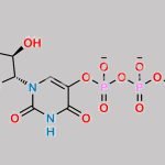 Uridine-5-Diphosphocholine Sodium Salt CAS#: N/A