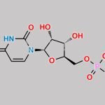 Uridine 5'-monophosphate CAS#: 58-97-9