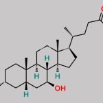 Ursodeoxycholic Acid CAS#: 128-13-2