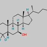 Ursodeoxycholic Acid-D5 CAS#: 93701-18-9