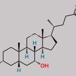 Ursodeoxycholic Acid EP Impurity A CAS#: 474-25-9