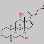 Ursodeoxycholic Acid EP Impurity B CAS#: 81-25-4