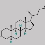 Ursodeoxycholic Acid EP Impurity C CAS#: 434-13-9