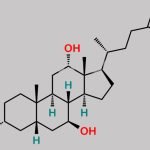 Ursodeoxycholic Acid EP Impurity D CAS#: 2955-27-3