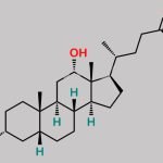 Ursodeoxycholic Acid EP Impurity E CAS#: 83-44-3